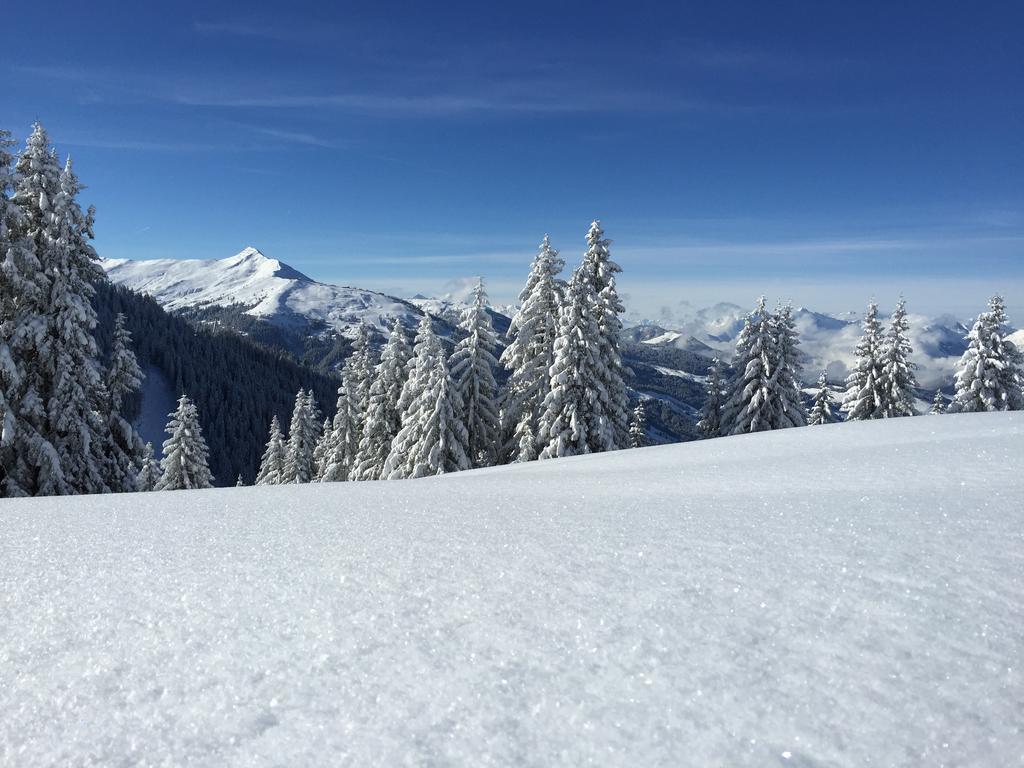 Das Juwel Reith Reith im Alpbachtal Extérieur photo