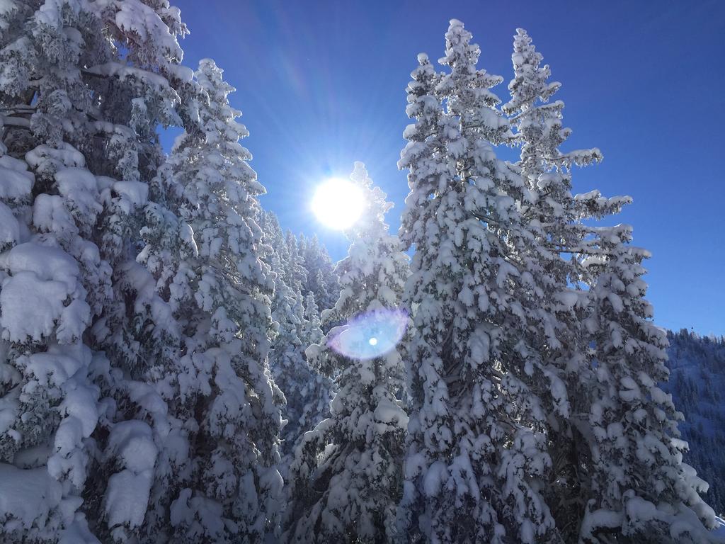 Das Juwel Reith Reith im Alpbachtal Extérieur photo